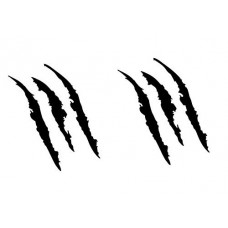 STICKERS ADESIVI DECAL TUNING GRAFFIO ARTIGLI AUTO MOTO CAMPER CAMION WRAPPING LOLLOMOTO