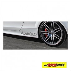 Audi porte - 30 cm-lot de 2 autocollants pour voiture, vernis, toutes, disc les surfaces lisses plusieurs coloris au choix Audi porte - 30 cm-lot de 2 autocollants pour voiture, vernis, toutes, disc les surfaces lisses plusieurs coloris au choix