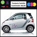 Adesivi fantasia farfalle per auto - STICKERS auto - accessori, stickers, decal (viola)