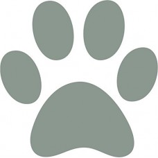 6 x cane grande e cucciolo, Paw Print Bumper Sticker da parete, Area Grooming Grigio 6 x cane grande e cucciolo, Paw Print Bumper Sticker da parete, Area Grooming Grigio