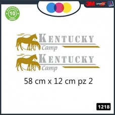 2 ADESIVI -ARGENTATO -DORATO - LOGO - KENTUCKY - PER CAMPER, FURGONI E VAN - - Cod. 1218