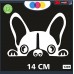 ADESIVO PER AUTO - BULLDOG FRANCESE - STICKERS notebook - cane, cani, adesivi cani, STICKERS auto - accessori, stickers, decal Cod 1297 (Bianco)