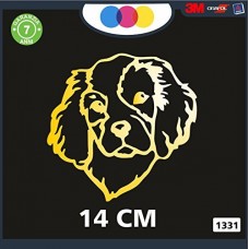 ADESIVO PER AUTO - CANE COCKER - STICKERS - notebook - cane, cani, adesivi cani, STICKERS auto - accessori, stickers, decal Cod 1331 (Oro)
