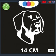 ADESIVO PER AUTO - CANE DA CACCIA - POINTER- STICKERS - notebook - cane, cani, adesivi cani, STICKERS auto - accessori, stickers, decal Cod 1315 (Bianco)