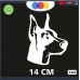 ADESIVO PER AUTO - CANE - DOBERMANN - STICKERS - notebook - cane, cani, adesivi cani, STICKERS auto - accessori, stickers, decal Cod 1341 (Bianco)