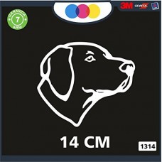 ADESIVO PER AUTO - PROFILO CANE DA CACCIA - POINTER- STICKERS - notebook - cane, cani, adesivi cani, STICKERS auto - accessori, stickers, decal Cod 1314 (Bianco)