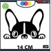 ADESIVO PER AUTO - BULLDOG FRANCESE - STICKERS notebook - cane, cani, adesivi cani, STICKERS auto - accessori, stickers, decal Cod 1297 (Nero) ADESIVO PER AUTO - BULLDOG FRANCESE - STICKERS notebook - cane, cani, adesivi cani, STICKERS auto - accessori, stickers, decal Cod 1297 (Nero)