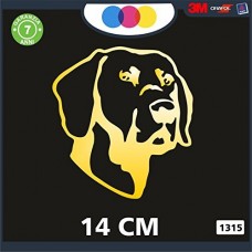 ADESIVO PER AUTO - CANE DA CACCIA - POINTER- STICKERS - notebook - cane, cani, adesivi cani, STICKERS auto - accessori, stickers, decal Cod 1315 (Oro)