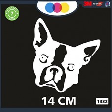 ADESIVO PER AUTO - CANE - BULLDOG FRANCESE - STICKERS - notebook - cane, cani, adesivi cani, STICKERS auto - accessori, stickers, decal Cod 1332 (Bianco) ADESIVO PER AUTO - CANE - BULLDOG FRANCESE - STICKERS - notebook - cane, cani, adesivi cani, STICKERS auto - accessori, stickers, decal Cod 1332 (Bianco)
