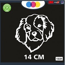 ADESIVO PER AUTO - CANE COCKER - STICKERS - notebook - cane, cani, adesivi cani, STICKERS auto - accessori, stickers, decal Cod 1331 (Bianco)