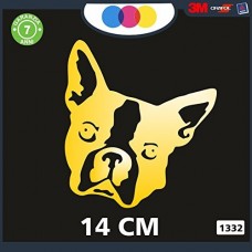 ADESIVO PER AUTO - CANE - BULLDOG FRANCESE - STICKERS - notebook - cane, cani, adesivi cani, STICKERS auto - accessori, stickers, decal Cod 1332 (Oro) ADESIVO PER AUTO - CANE - BULLDOG FRANCESE - STICKERS - notebook - cane, cani, adesivi cani, STICKERS auto - accessori, stickers, decal Cod 1332 (Oro)
