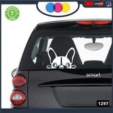 ADESIVO PER AUTO - BULLDOG FRANCESE - COLORE NERO - STICKERS notebook - cane, cani, adesivi cani, STICKERS auto - accessori, stickers, decal Cod 1297 ADESIVO PER AUTO - BULLDOG FRANCESE - COLORE NERO - STICKERS notebook - cane, cani, adesivi cani, STICKERS auto - accessori, stickers, decal Cod 1297