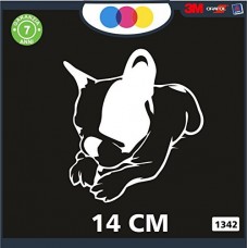 ADESIVO PER AUTO - CANE - CUCCIOLO BULLDOG FRANCESE - STICKERS - notebook - cane, cani, adesivi cani, STICKERS auto - accessori, stickers, decal Cod 1342 (Bianco) ADESIVO PER AUTO - CANE - CUCCIOLO BULLDOG FRANCESE - STICKERS - notebook - cane, cani, adesivi cani, STICKERS auto - accessori, stickers, decal Cod 1342 (Bianco)