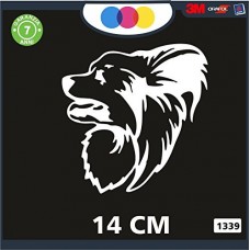 ADESIVO PER AUTO - CANE MALTESE - STICKERS - notebook - cane, cani, adesivi cani, STICKERS auto - accessori, stickers, decal Cod 1339 (Bianco)