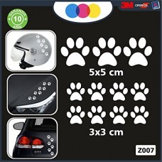10 zampette adesive ADESIVI PER AUTO MOTO CASCHI - 3 adesivi 5X5 centimetri - 7 adesivi 3X3 centimetri - AUTO MACCHINA - NOVITà!! auto moto camper, stickers, decal Z-001-7 (BIANCO)