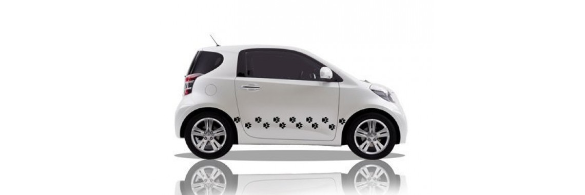 Adesivi per auto